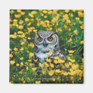 Orange Eyed Owl in Meadow of Flowers Magnet