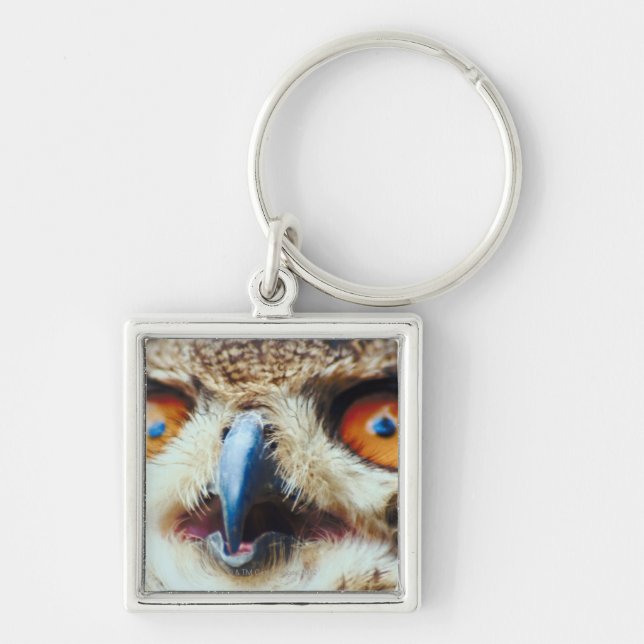 Orange Eyed Owl Key Ring (Front)