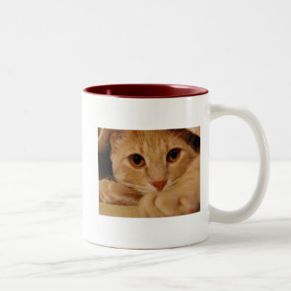 Orange Eyes Two-Tone Coffee Mug