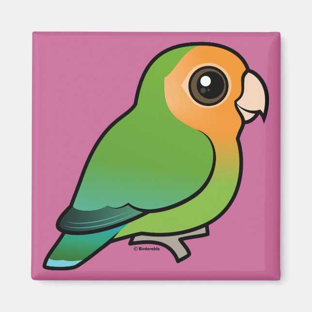 Orange-faced Peach-faced Lovebird Magnet (Front)