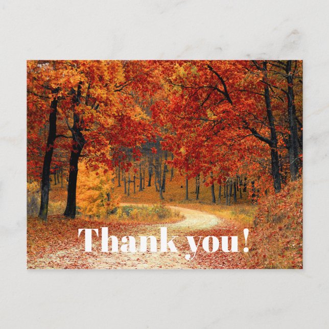 Orange Fall / Autumn Leaves Photo Thank You Postcard (Front)