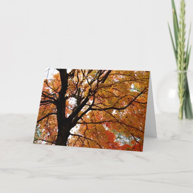 Orange Fall Tree Greeting Card (Blank Inside) (Front)