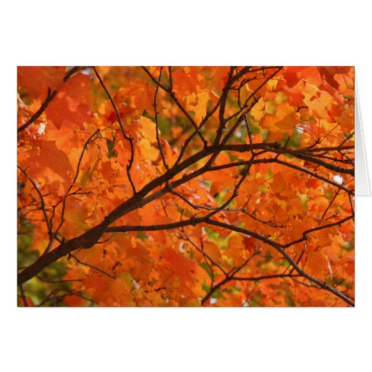 Orange FIre Greeting Card
