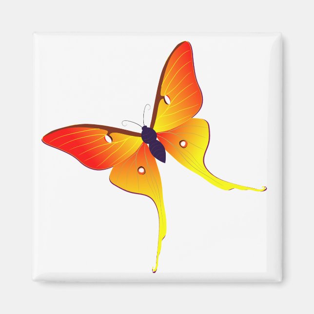 Orange Flame Butterfly Square Magnet (Front)