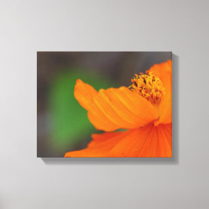 Orange Floral Canvas Print