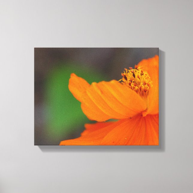 Orange Floral Canvas Print (Front)