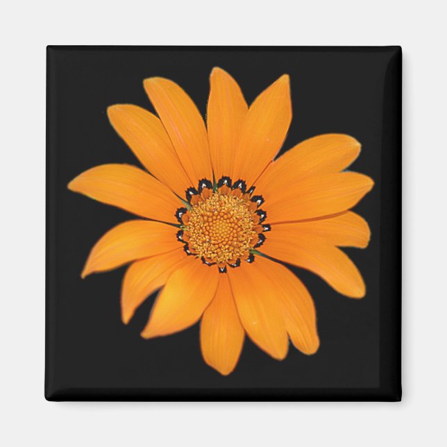 Orange Floral Magnet (Front)