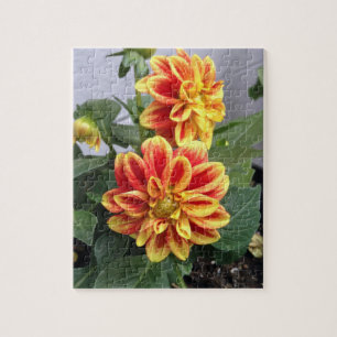 Orange Floral Photography  Jigsaw Puzzle