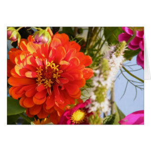 Orange Flower