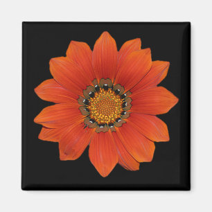 Orange Flower 2 Magnet