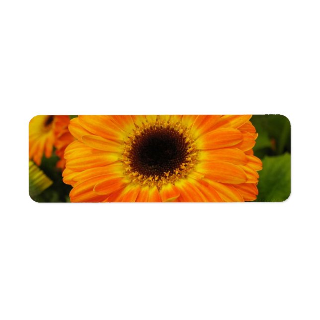 Orange Flower Address Label (Front)