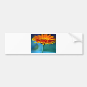 Orange Flower Bumper Sticker