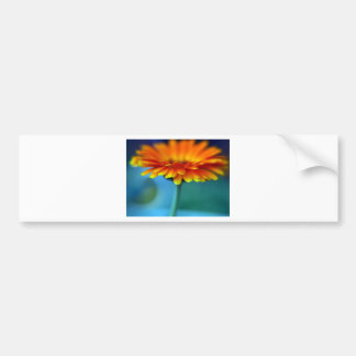 Orange Flower Bumper Sticker