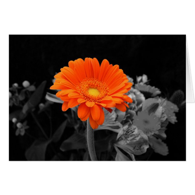 Orange Flower card-Any Occasion (Front Horizontal)