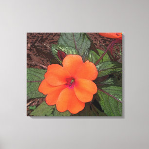 Orange Flower Closeup Canvas Print