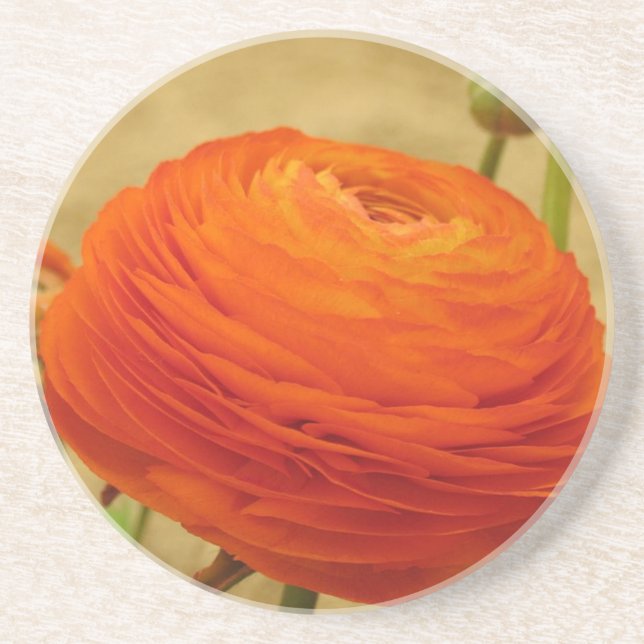 Orange Flower Coaster (Front)