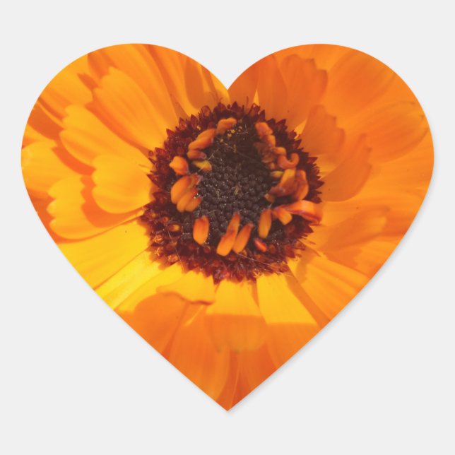 Orange Flower Heart Sticker (Front)