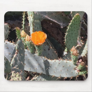 Orange Flower in a Cactus in Balboa Park Mouse Mat