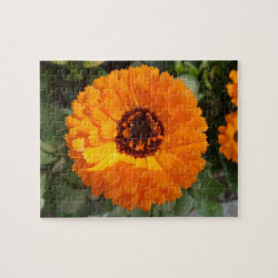 Orange Flower Jigsaw Puzzle