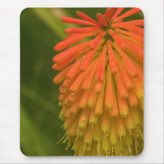 Orange Flower Mouse Mat