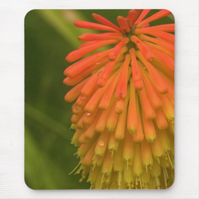 Orange Flower Mouse Mat (Front)