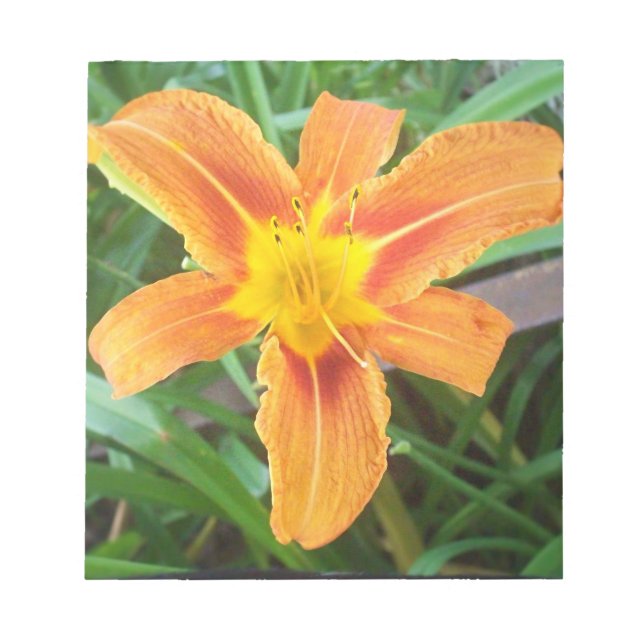Orange Flower Notepad (Front)