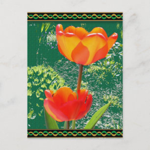 Orange Flower Postcard