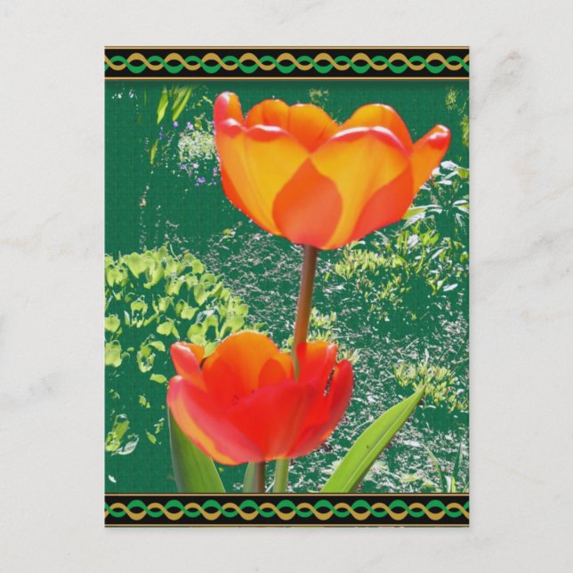 Orange Flower Postcard (Front)