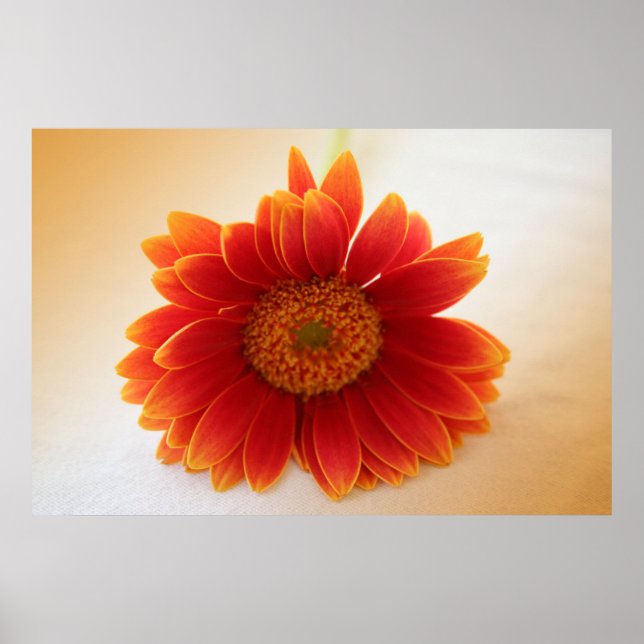 Orange Flower Poster (Front)
