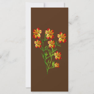 Orange Flowers