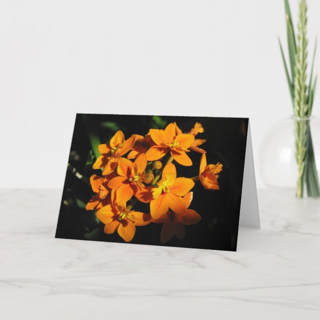 Orange Flowers Card (Front)