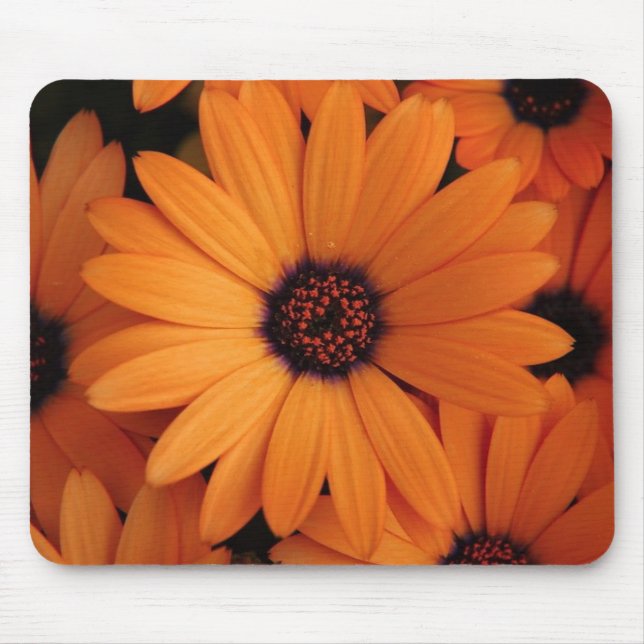 Orange Flowers Mouse Mat (Front)
