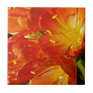 Orange Flowers Tile