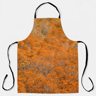 Orange forest view. Orange leaf background. Autumn Apron