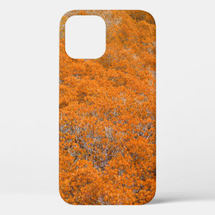 Orange forest view. Orange leaf background. Autumn iPhone 12 Case