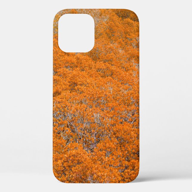 Orange forest view. Orange leaf background. Autumn Case-Mate iPhone Case (Back)