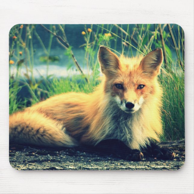 Orange fox mouse mat (Front)