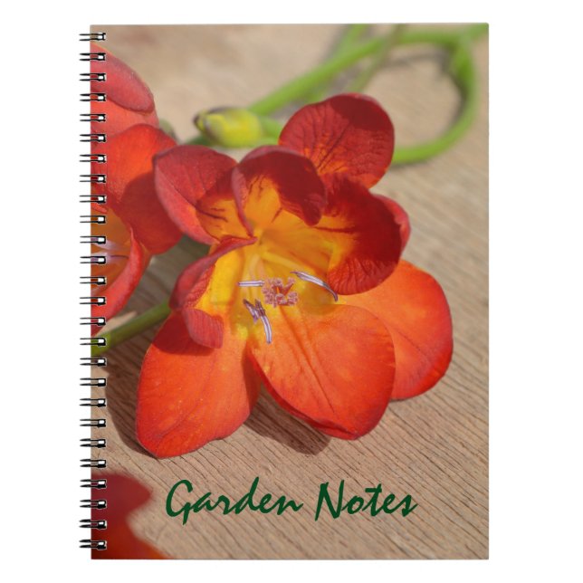 Orange Freesia Flower Notebook (Front)