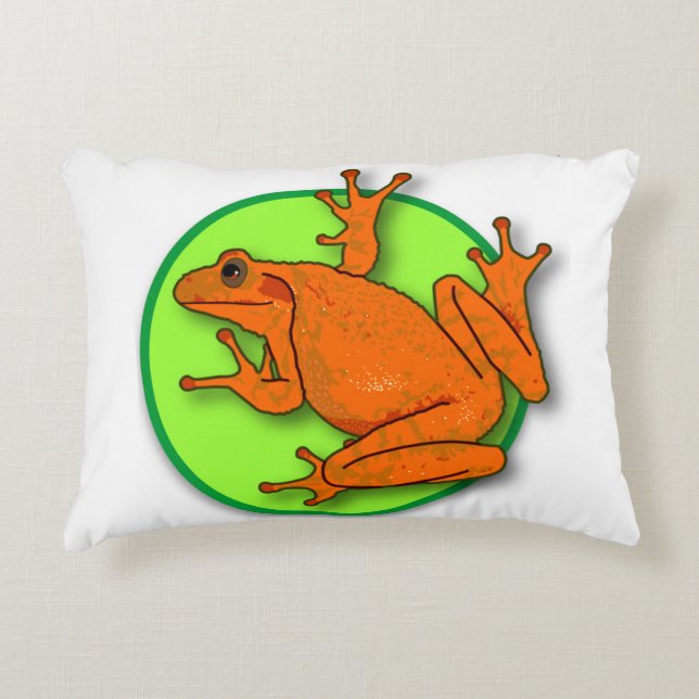 Orange Frog Pillow (Front)