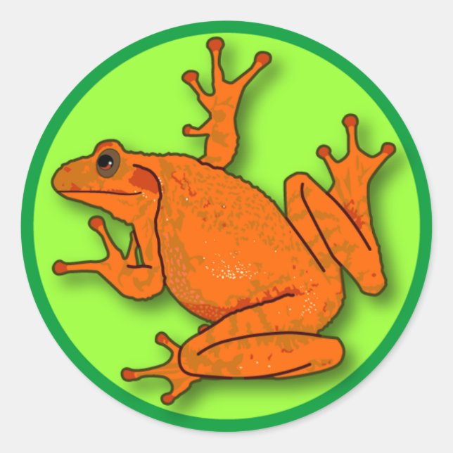 Orange Frog Sticker (Front)