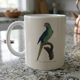 Orange-Fronted Parakeet, Eupsittula Canicularis Coffee Mug