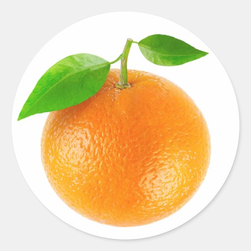 Image of Orange fruit Classic Round Sticker