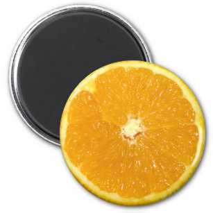 Orange Fruit Fresh Slice Magnet