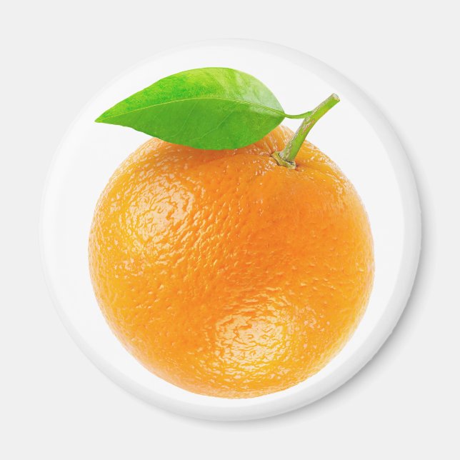 Orange fruit magnet (Front)