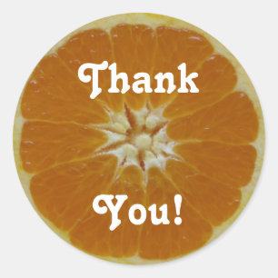 Orange Fruit Slice, Thank, You! Classic Round Sticker