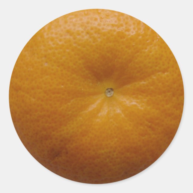 Orange Fruit Sticker (Front)