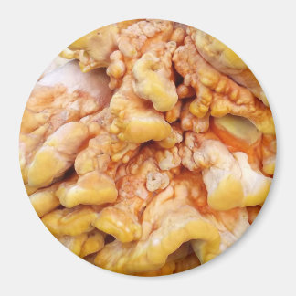 Orange Fungus Magnet