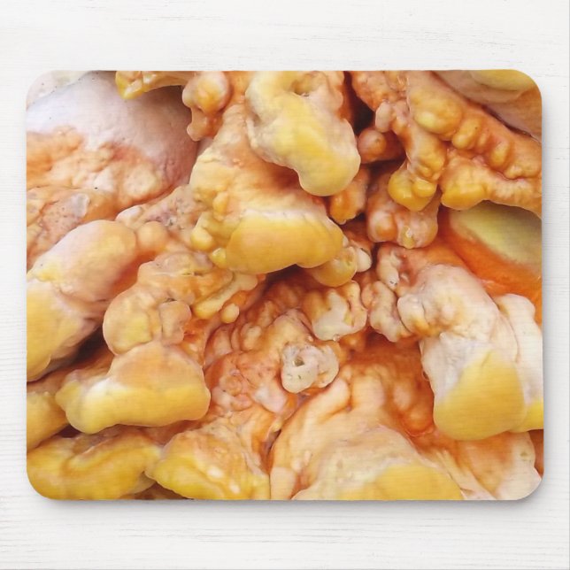 Orange Fungus Mouse Mat (Front)