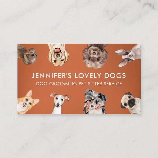 Orange Funny Small Size Dogs Pet Sitter Business Card (Front)