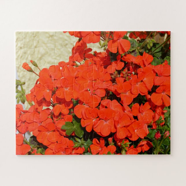 Orange geranium flowers jigsaw puzzle (Horizontal)